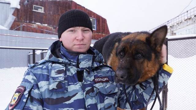 Служебная собака спасла замерзавшего в лесу мальчика