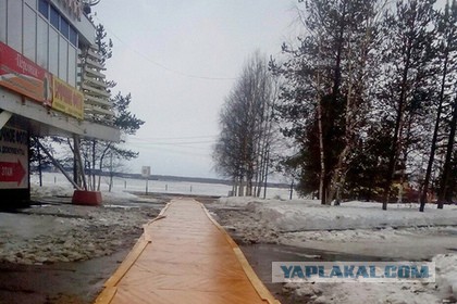 Архангельские чиновники заложили тротуар паркетом