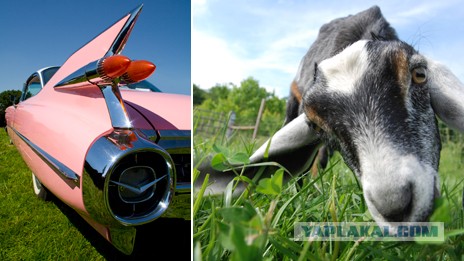 Парадокс Монти Холла