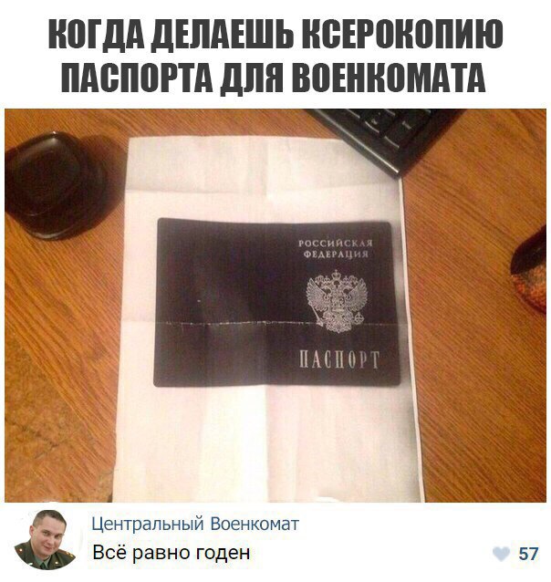 10526098.jpg