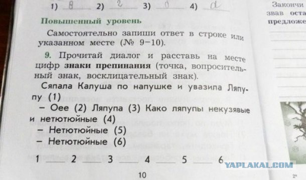 И снова об образовании (дебилизации)? 6773198