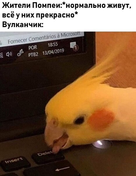 Дичь