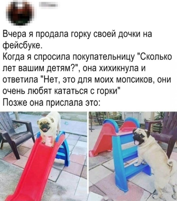 Нестандартный юмор