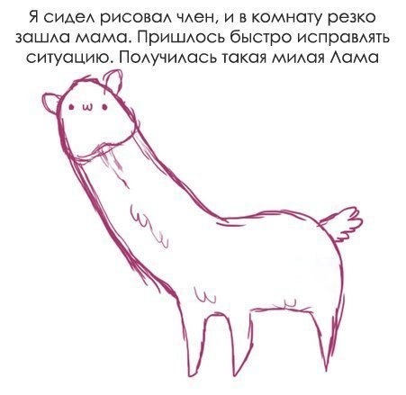 4304898.jpg