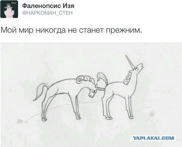 9818898.jpg