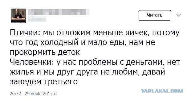 Мама шестерых приемных детей из Челябинской области просит у Деда Мороза квартиру побольше, чтобы взять под опеку еще малышей