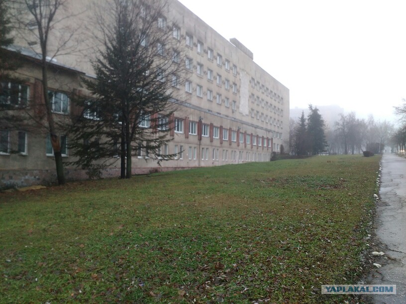 Спб гбуз городская поликлиника 100