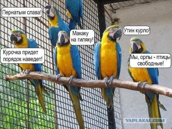Московский зоопарк поддерживает Украину
