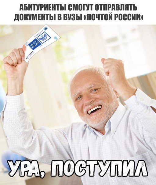 9936509.jpg