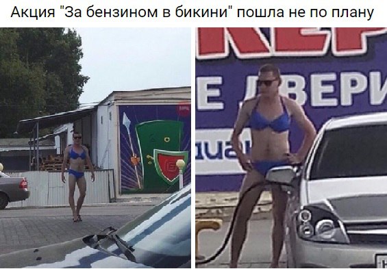 10176609.jpg