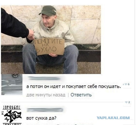 4050809.jpg