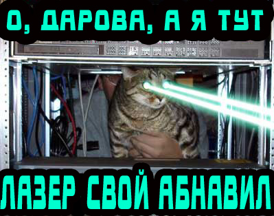 Вторник! Кашаки!