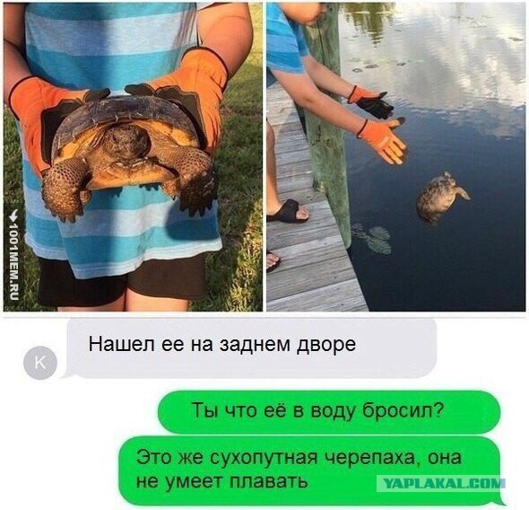 Подруга уехала в отпуск