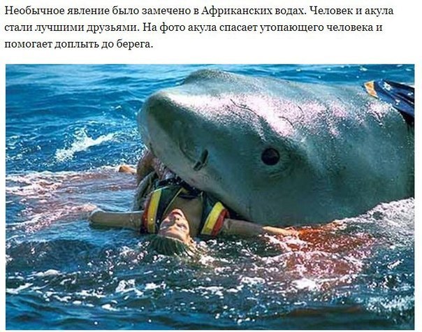 повреждение лодки акула повреждение лодки акула
