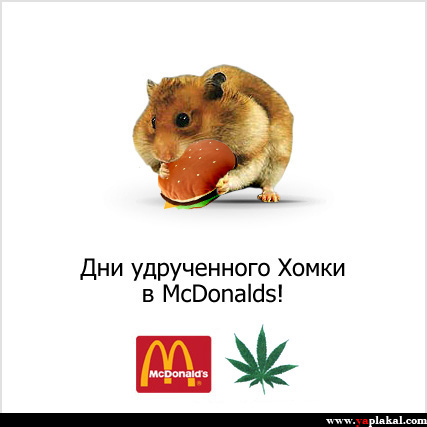 Фастфуд. Макдональдс и другие