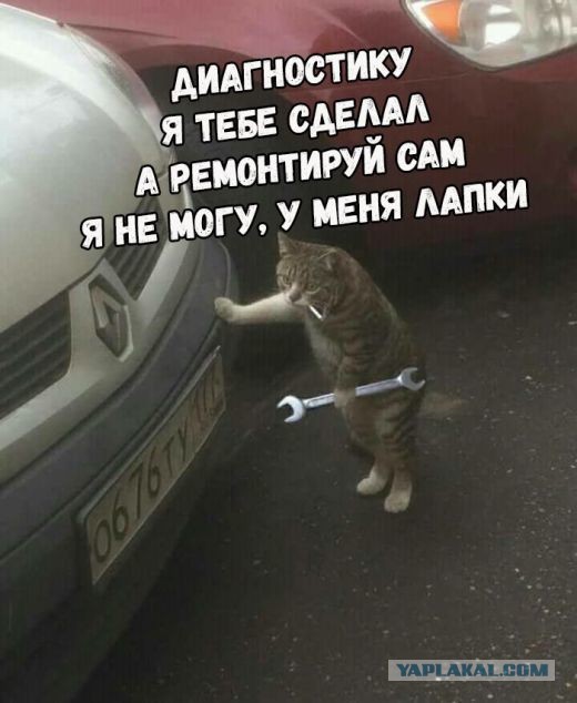 Шерстяной механик