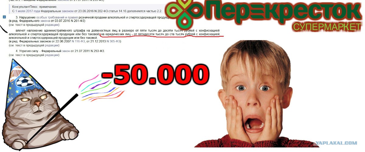    50.000 ()