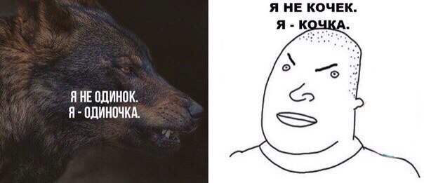 Здорово и вечно