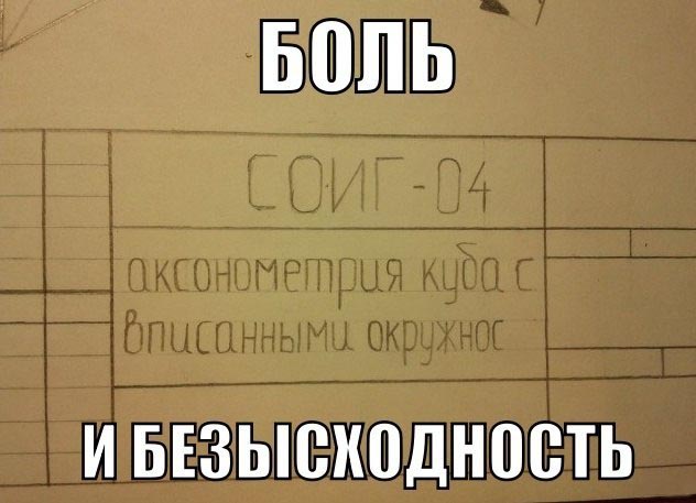 2495219.jpg