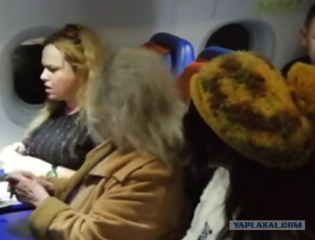 Дебош, устроенный "женой депутата" на борту самолета "Аэрофлота", попал на видео