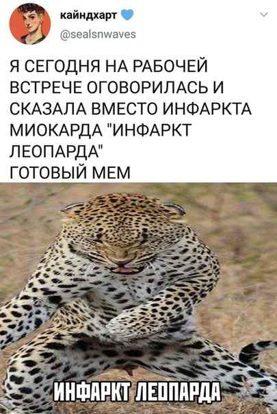 Белиссиммо