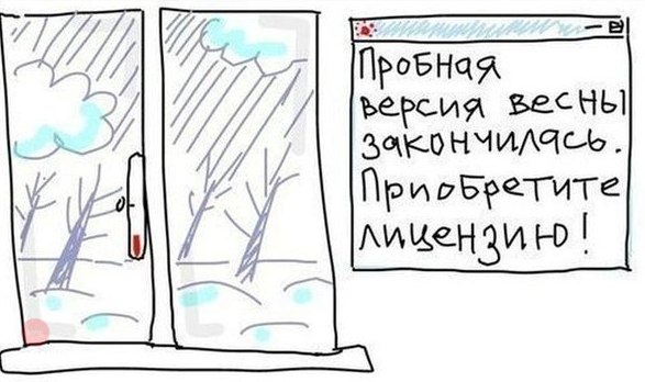 С утра за окном, Новосиб