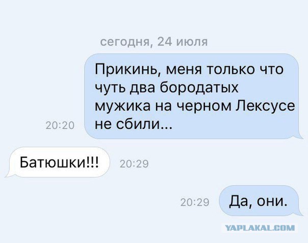 8159819.jpg