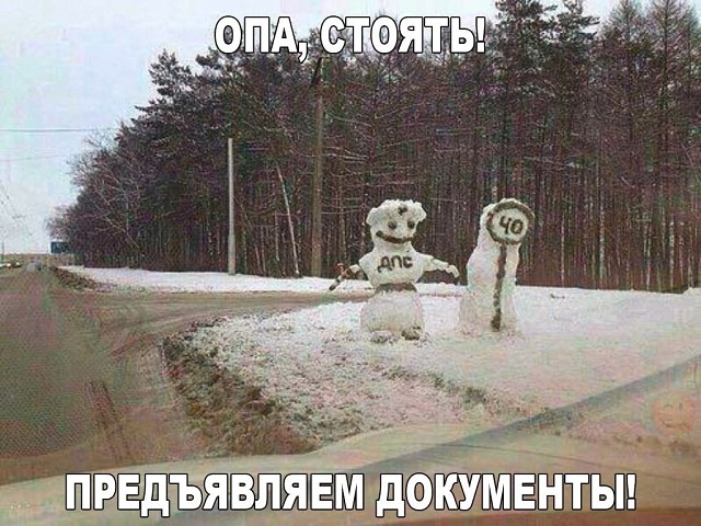 9032919.jpg