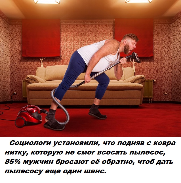 12357029.jpg
