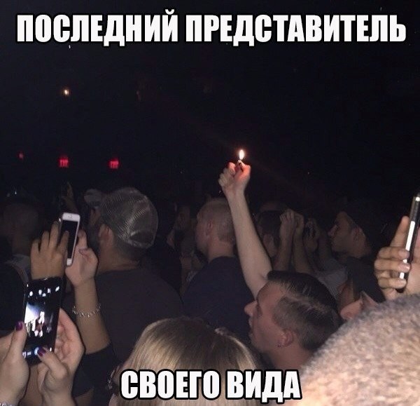 11319229.jpg