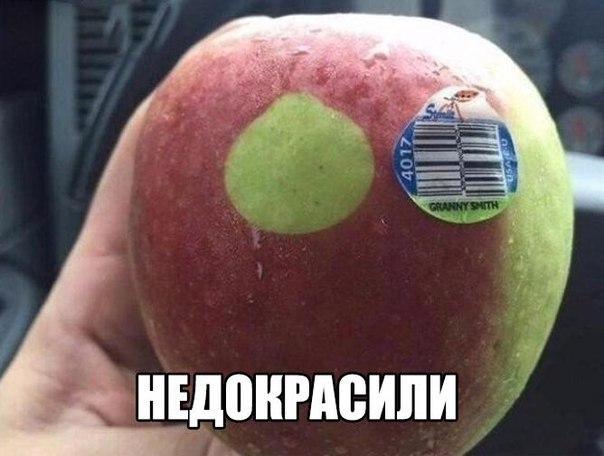 Весёлые картинки