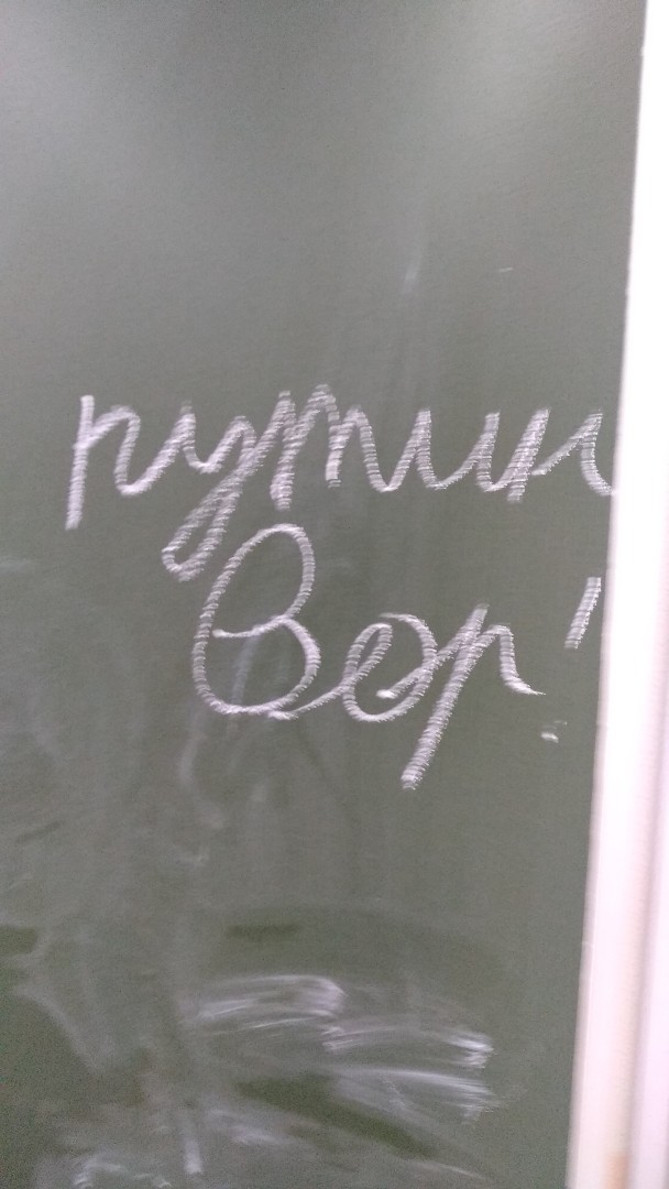Школьники в регионах РФ запустили флешмоб с надписью «Путин — вор»