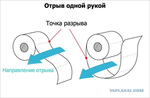 Как правильно вставлять туалетную бумагу (5 фото)