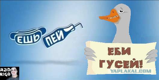 Воруй убивай еби гусей