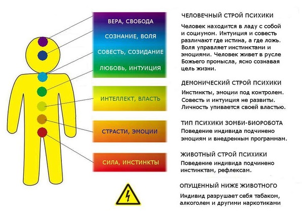3608639.jpg