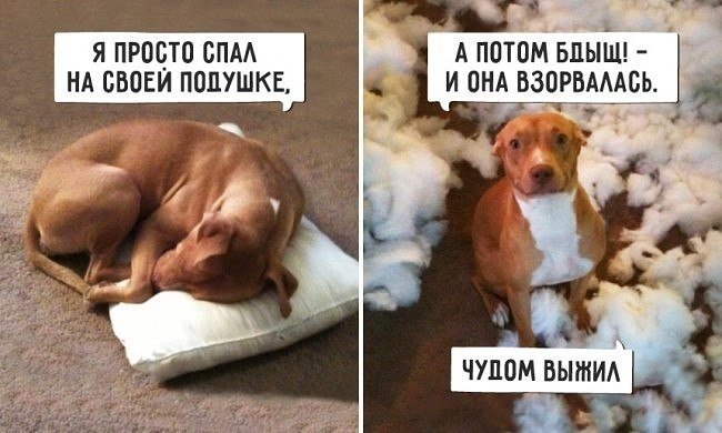 http://s00.yaplakal.com/pics/pics_original/9/3/7/12013739.jpg