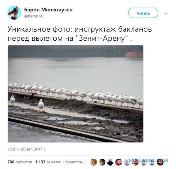 10226839.jpg