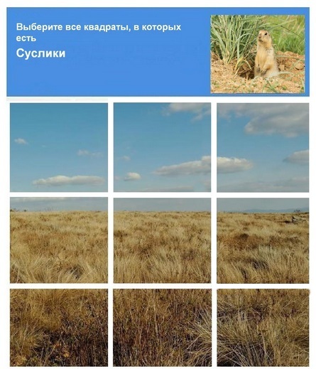 http://s00.yaplakal.com/pics/pics_original/9/3/8/10855839.jpg
