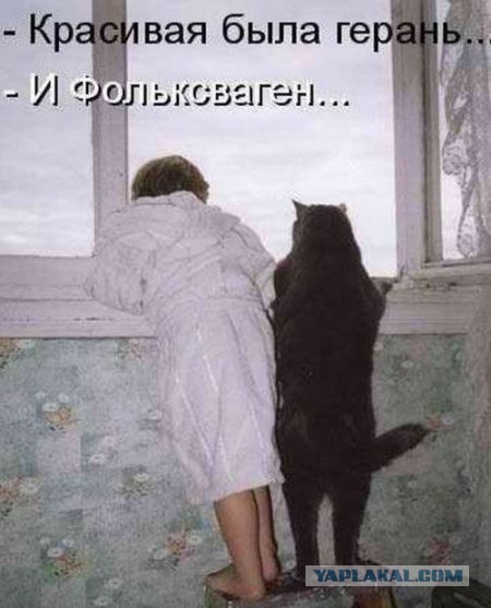 [Зображення: 6477939.jpg]
