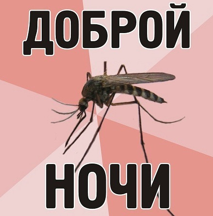 Бесит комар