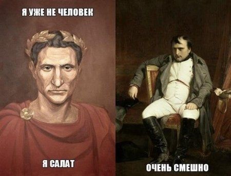 11314049.jpg