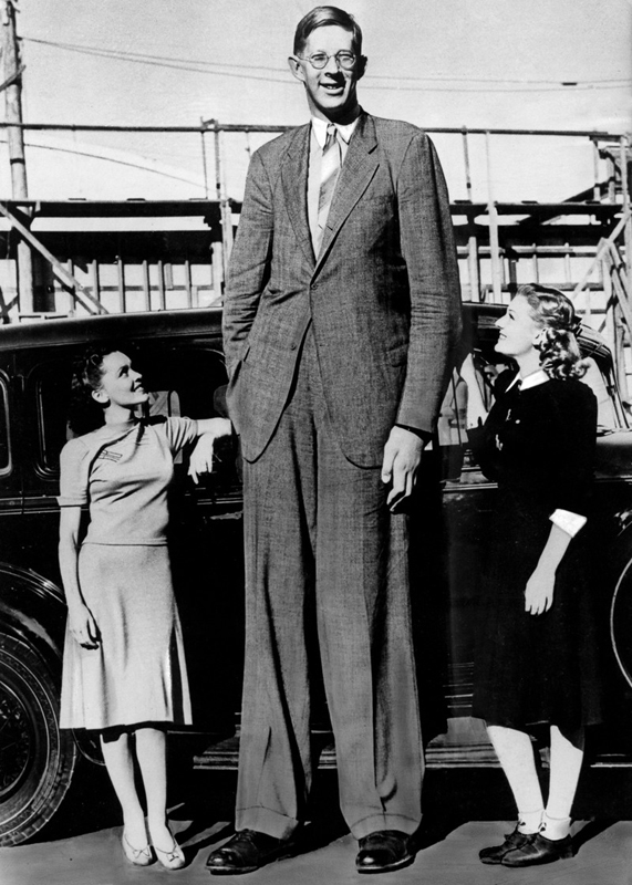 Самый высокий человек в истории: короткая жизнь гиганта из Иллинойса