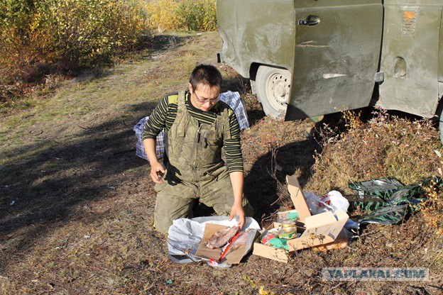 В гостях у загадочной ямальской тундры