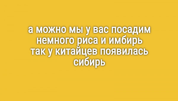 Подборка прикольных стишков-пирожков