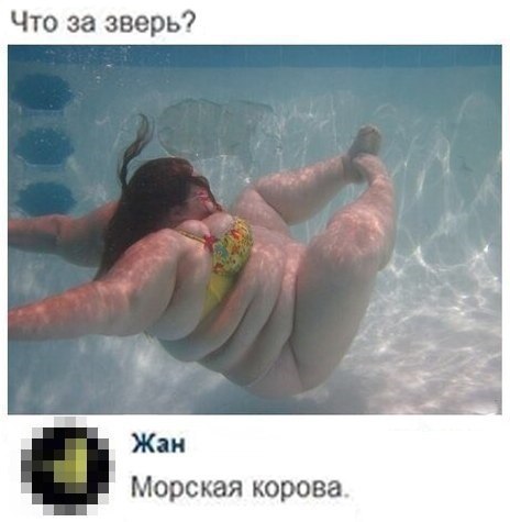 О братьях наших меньших