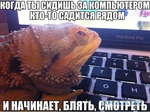 Позитивные картинки