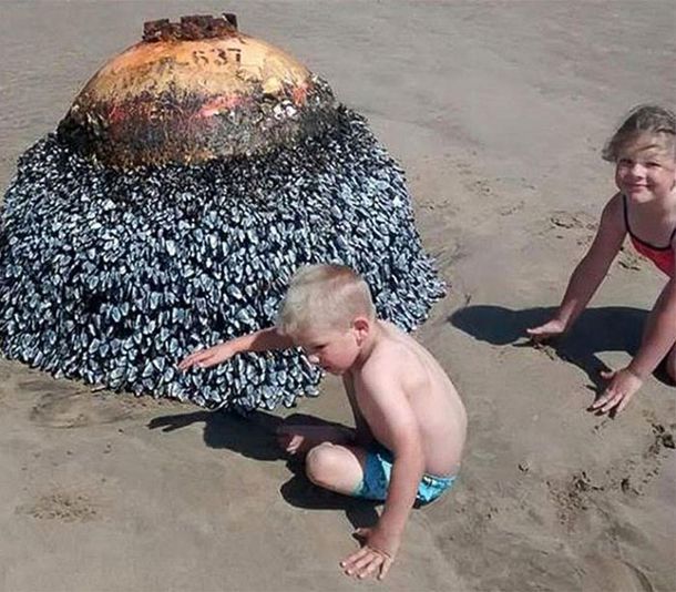 Дети играли на пляже со странной находкой.
