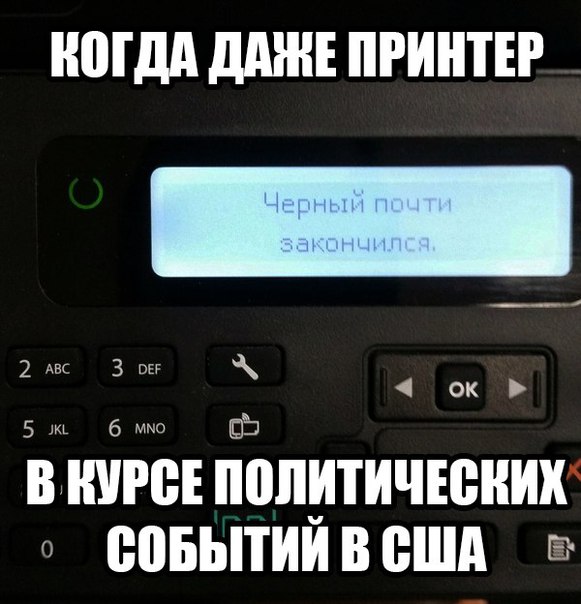 8968459.jpg