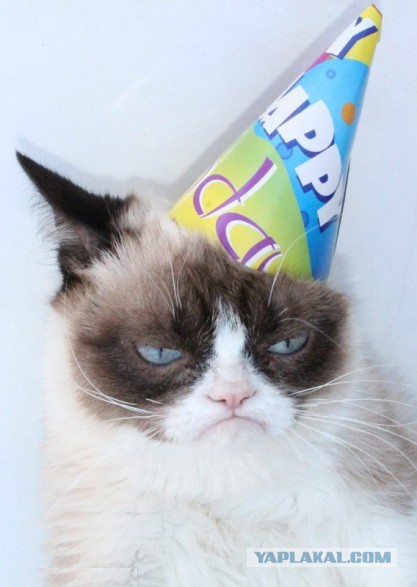 Что ни День Рождения, то холод и снег 