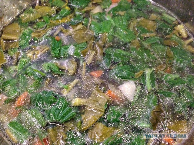 Зеленый суп с крапивой